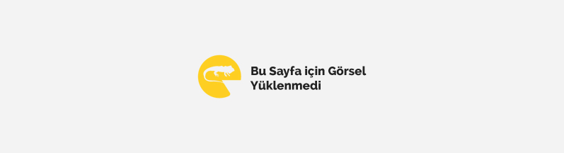 Logo Tasarımında Renk Uyumu